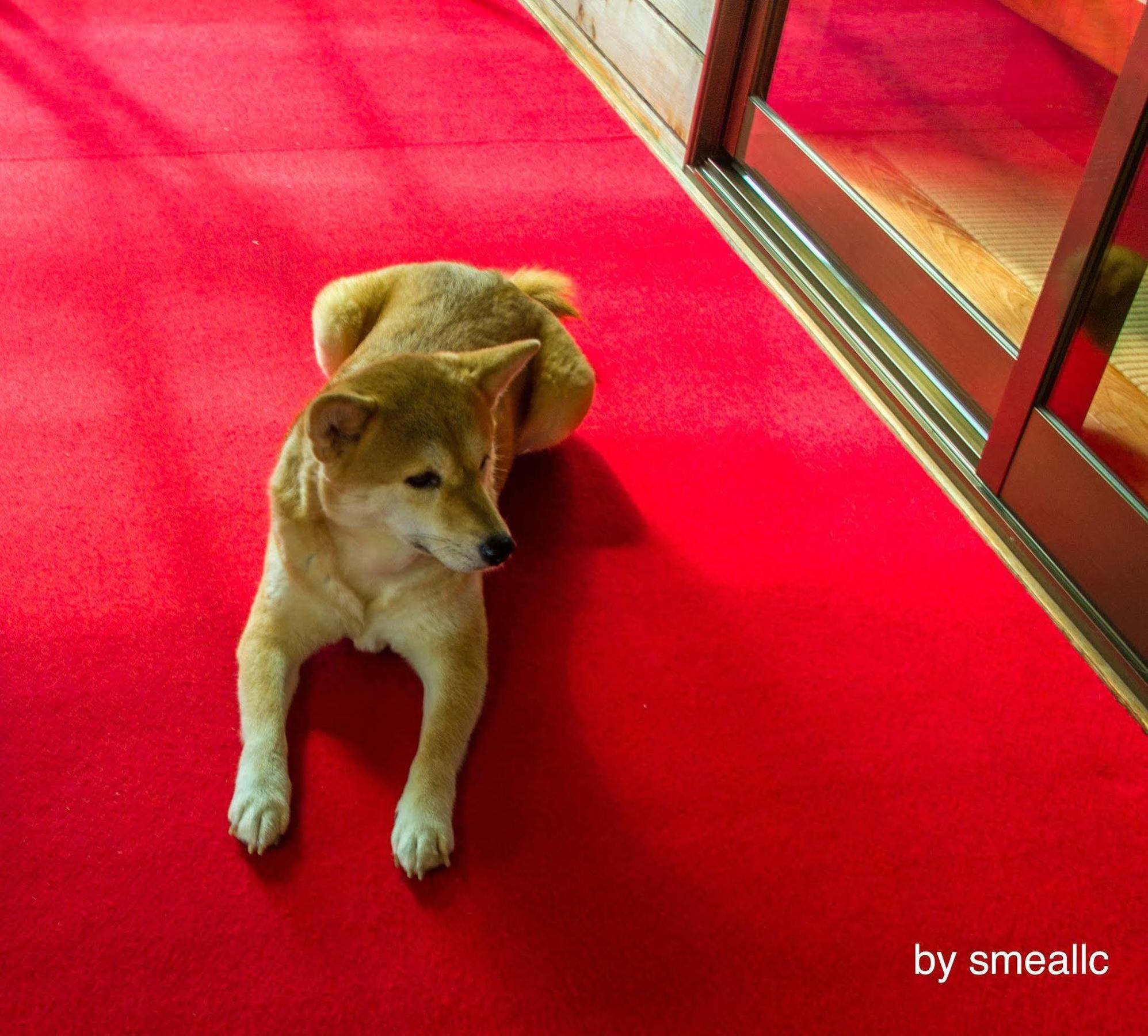 Hiogiso Hotel Shima  Buitenkant foto